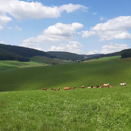 Apartament Haus Zum Sternen Vöhrenbach Zewnętrze zdjęcie