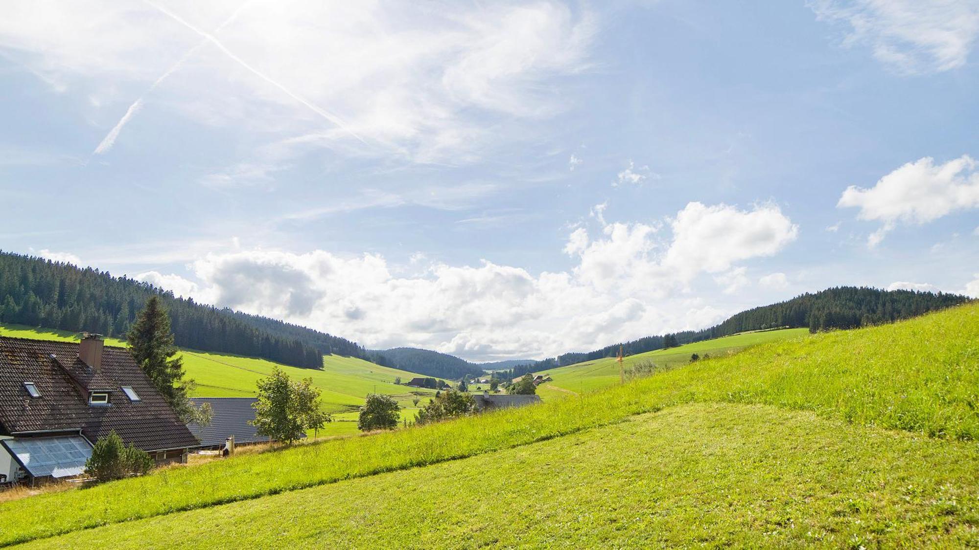 Apartament Haus Zum Sternen Vöhrenbach Zewnętrze zdjęcie