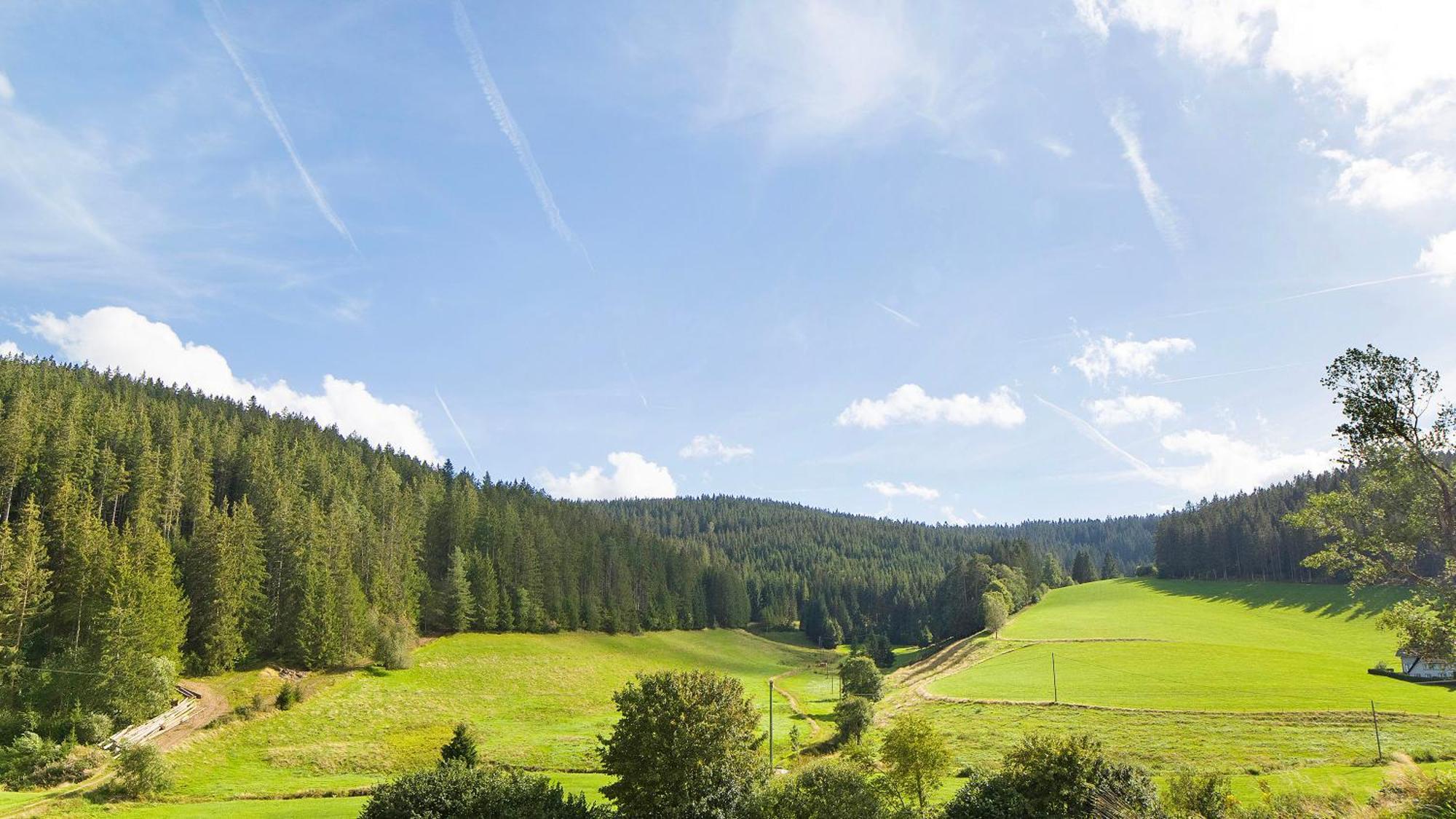 Apartament Haus Zum Sternen Vöhrenbach Zewnętrze zdjęcie